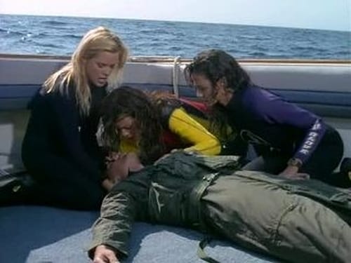 movies/2024-09-03/baywatch-9jZiKqvkybyUufKP1nzh0fzDhVl.jpg