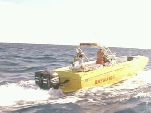 movies/2024-09-03/baywatch-ctVleWXK8xj0eJ6wEkW9eI7PC8k.jpg
