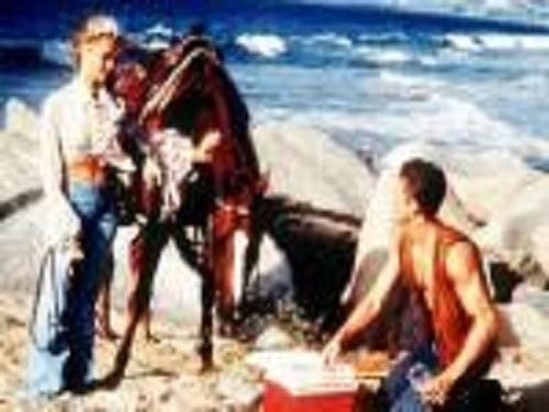movies/2024-09-03/baywatch-ihQJfbM6jXdmrAfggelmSJZ4iC9.jpg