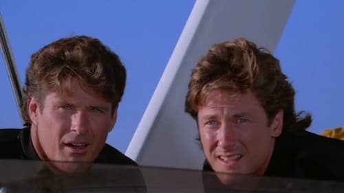 movies/2024-09-03/baywatch-jLf9c5wzDhdWoJKnUWfFmr4gxW2.jpg