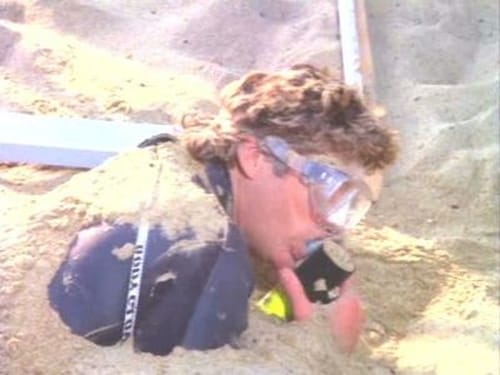 movies/2024-09-03/baywatch-qqclvQpKAyNPQ0g94HgsIBLeJda.jpg