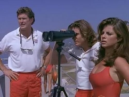 movies/2024-09-03/baywatch-quyJc9HpvW4gOvoY06bcyn1GXCA.jpg