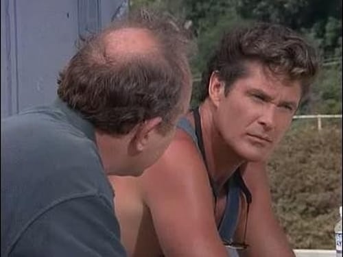 movies/2024-09-03/baywatch-yhQ5qlZsIuLGrAwYBa8ixvcIjaA.jpg