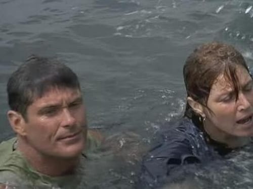 movies/2024-09-03/baywatch-ywO2QXJy9pa5dQexGSlBqUwOsTn.jpg