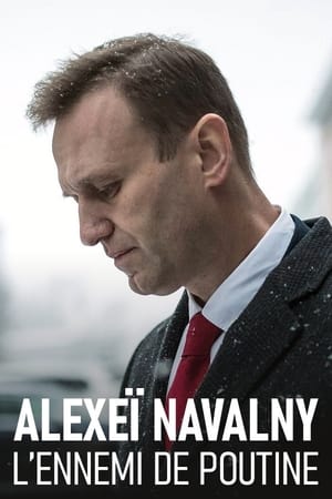 Navalny, l'ennemi de Poutine - Becoming Navalny (2024)