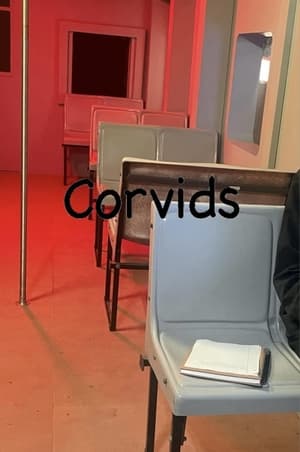 Corvids (2024)