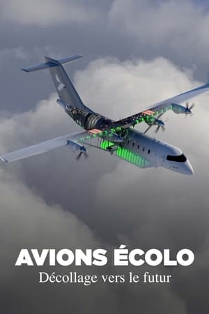 Avions écolo, décollage vers le futur - Grünes Fliegen - Reisen in der Zukunft (2024)