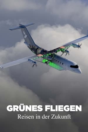 Grünes Fliegen - Reisen in der Zukunft (2024)