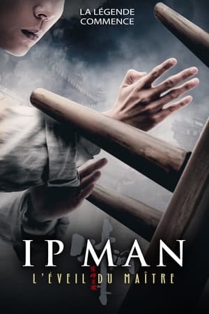 Ip Man : L'Éveil du Maître - Ip Man: The Awakening (2021)