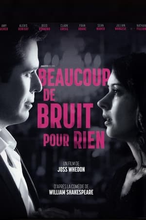 Beaucoup de bruit pour rien - Much Ado About Nothing (2013)