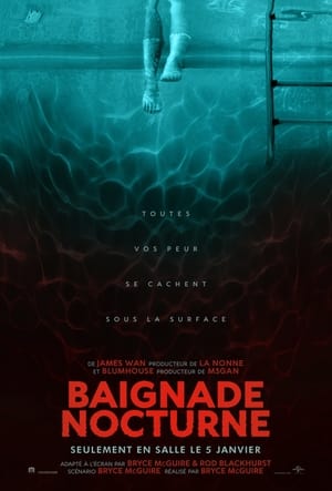 Baignade nocturne - Night Swim (2024)