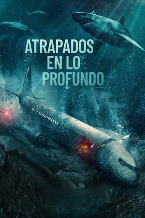 Atrapados en el abismo - No Way Up (2024)