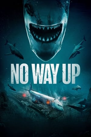 Nicio cale în sus - No Way Up (2024)