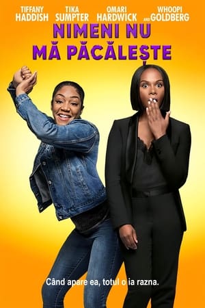 Nobody's Fool (2018)
