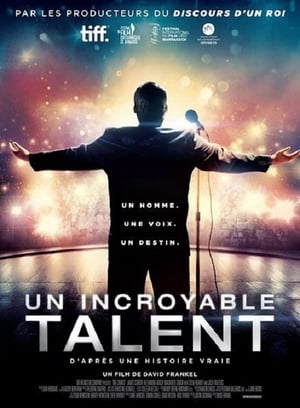 Un Incroyable talent - One Chance (2013)