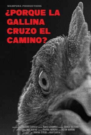 ¿Por qué la gallina cruzó el camino? (2024)