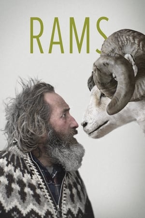 Despre oameni și oi - Rams (2015)