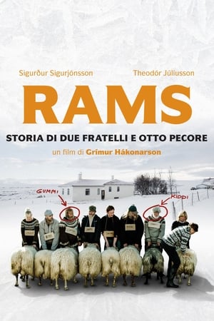 Rams - Storia di due fratelli e otto pecore - Rams (2015)
