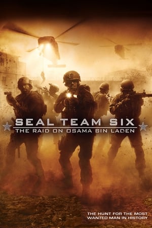 Nume de cod Geronimo - Seal Team Six: The Raid on Osama Bin Laden (2012)