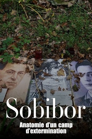 Sobibór : Anatomie d’un camp d’extermination - Sobibór - Anatomie eines Vernichtungslagers (2024)