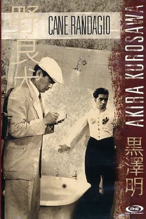 Cane randagio - Stray Dog (1949)