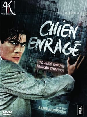 Chien enragé - Stray Dog (1949)
