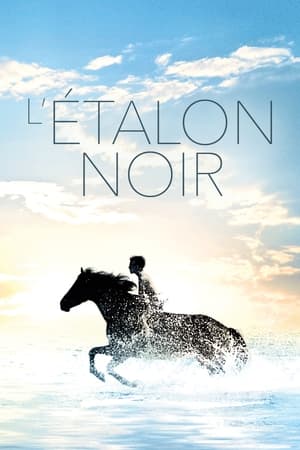 L'Étalon noir - The Black Stallion (1979)