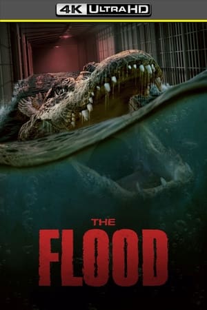 The Flood (2023)