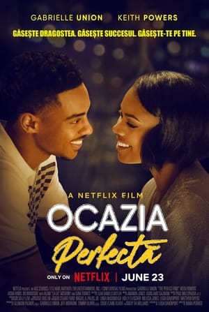 Ocazia perfectă - The Perfect Find (2023)