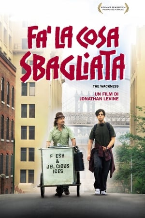 Fa' la cosa sbagliata - The Wackness (2008)