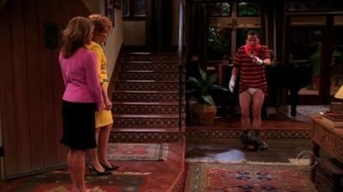 movies/2024-09-03/two-and-a-half-men-sKhOsR2T6pRgh3PDT9M9fbeG5rl.jpg