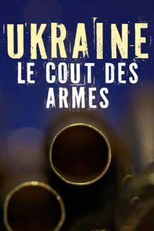 Ukraine, le coût des armes (2024)
