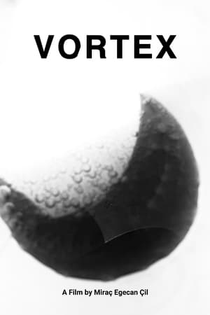 Vortex (2024)