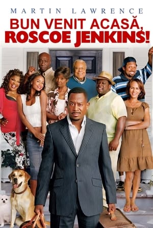 Welcome Home Roscoe Jenkins (2008)