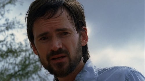 movies/2024-09-04/lost-2Jz9PiKAL94CmYLE2tay5JxdFTs.jpg