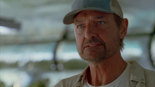 movies/2024-09-04/lost-8BHjUdTMhzq2jP6LT5imt7yHvWN.jpg