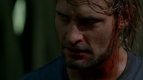 movies/2024-09-04/lost-9lPZWZw0CZMIJCrRYJVnocZ8HuW.jpg