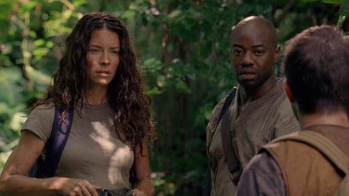 movies/2024-09-04/lost-biy9BpoYUDHf2rDcYXhFK3eDndm.jpg