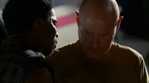 movies/2024-09-04/lost-heeisJLRBX206UshoebfPZuIpsL.jpg