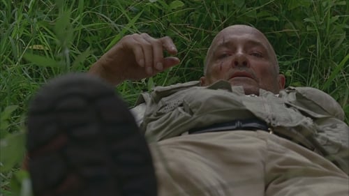 movies/2024-09-04/lost-lpog1xSyq1yNrXSefWUPydby4V6.jpg