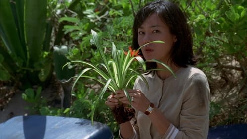 movies/2024-09-04/lost-mKHcu6AdloajSgd7cR9FuIaNX8X.jpg