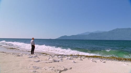 movies/2024-09-04/lost-nJdaO4K9uutiYpI51RgEZfMyber.jpg