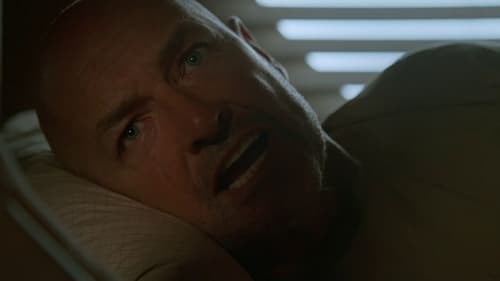 movies/2024-09-04/lost-uxsdxr3tjQOuUjTbeUEaS0S0zdE.jpg