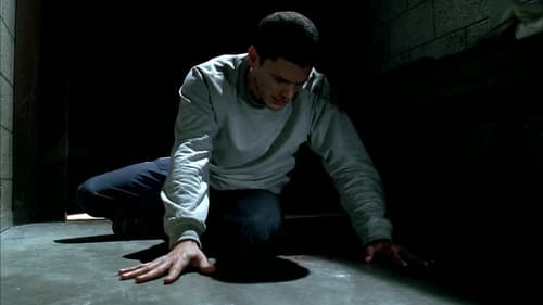 movies/2024-09-04/prison-break-3e4yHirYArcvRncNcTMrsKsiU4R.jpg