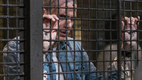 movies/2024-09-04/prison-break-5NS6GL7e5YhKoDoNaUfhpkjweV1.jpg