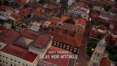movies/2024-09-04/prison-break-6c8YBJMbixQPR7QLswBFkOFFvS8.jpg
