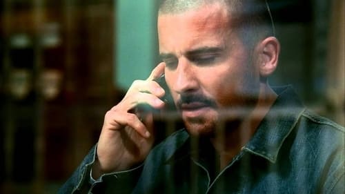 movies/2024-09-04/prison-break-6mDWsgezVClbka09xygXm4lIuoE.jpg