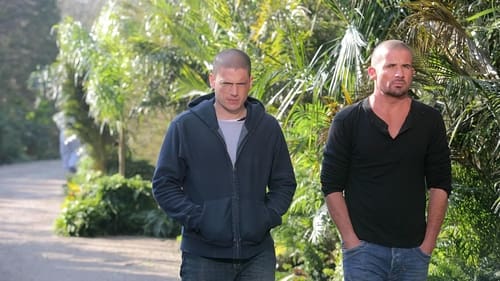 movies/2024-09-04/prison-break-9ouE9ZAQmcRCLVdcRgMkKs6cT1G.jpg