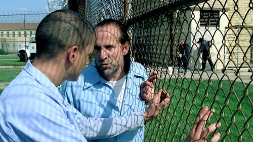 movies/2024-09-04/prison-break-P0CjFHhBPFLF6dMWpb3ariMUb3.jpg