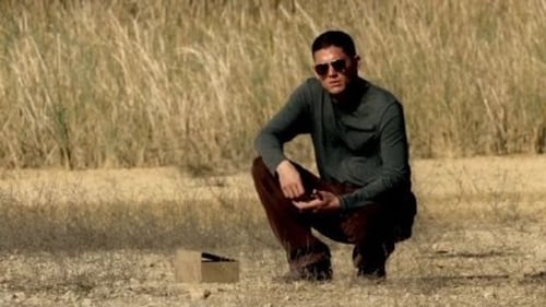 movies/2024-09-04/prison-break-d1BhIrY9O2A5PyIVxZsknv4TQoX.jpg
